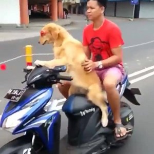 85K views · 909 reactions |  | Lena Sledge | Facebook