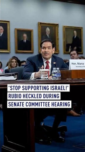 'Stop supporting Israel' - Rubio heckled during Senate committee hearing
