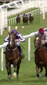 KINGMAN’s impressive 2014 Sussex Stakes win 🏆 With a reputation for bringing together some of the most outstanding horses in training, the Sussex Stakes has earned its moniker, the ‘Duel On The Downs’. Previous winners include the peerless Frankel, the French sensation Solow and the mighty Mohaather in 2020! We can’t wait to see this year’s champions in action at Qatar Goodwood Festival presented by Visit Qatar! | Goodwood Racecourse