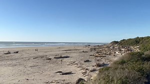 19K views · 225 reactions | Yesterday marked a successful opening day at Oregon Coast Scenic Railroad! Thank you to all our guests who joined us on the first Spring Break runs of the year as well as our inaugural St Patrick’s Pub Train! We are running trains again today out of both Garibaldi and Rockaway Beach. Get your tickets now at https://oregoncoastscenic.org/train-rides/rockaway-beach-spring-break-excursion/ | Oregon Coast Scenic Railroad | Facebook