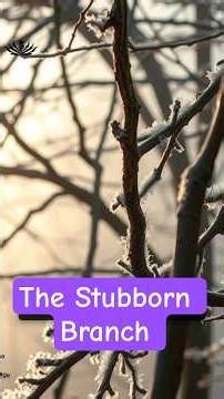 The Stubborn Branch of the Family Tree | Scotch-Irish in Appalachia #historyshorts #backcountrygrit