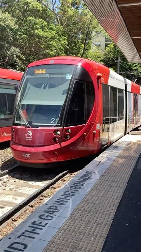 CAF Urbos 3, Sydney Light Rail (Batch 1) - Arriving Glebe Stop EB (L1 Dulwich Hill Line) #shorts