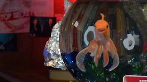 The Why Files (TV Series 2020– )