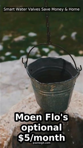 Smart Water Valves: Save Money & Home