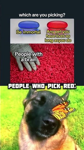 The easiest choice you'll ever make 🥺💊🐾