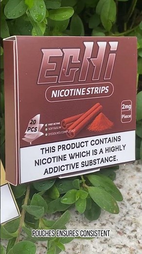 The Best Way to Use Nicotine Pouches: Echi’s Simple & Effective Method