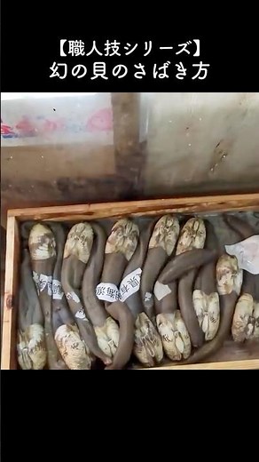 How to prepare the legendary shellfish #japanesefood #howtoprepare #fish #seafood #fukuoka #short...