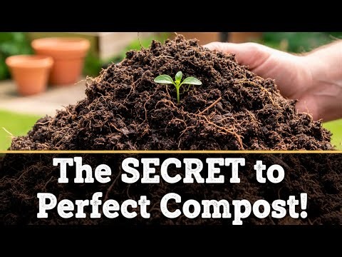The SECRET to Perfect Compost