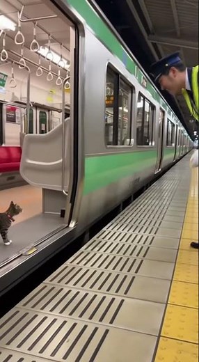 A cat slipping onto the last train and a station attendant watching and cheering it on 🐱6