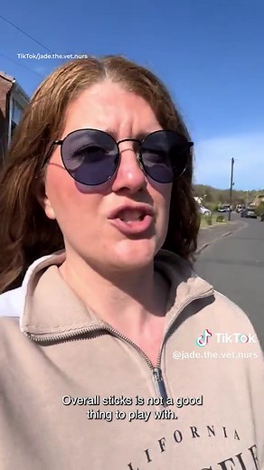 Vet reveals how throwing sticks for dogs to fetch can be fatal