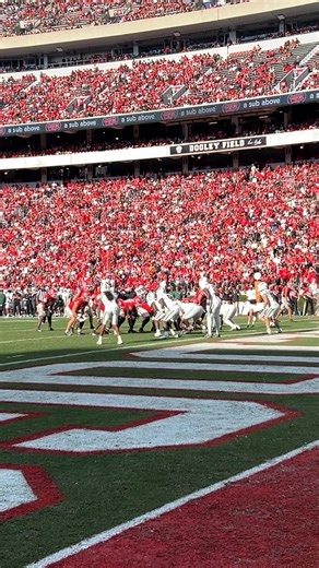 Bo Walker's THIRD touchdown run of the game | Georgia Bulldogs