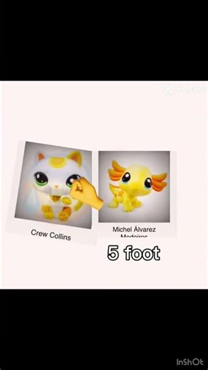 Tall vs short showdown!