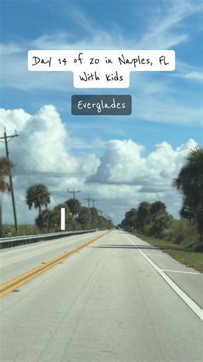 Exploring the Everglades: A Family Day Trip from Naples