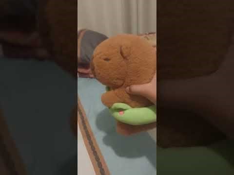 Capibara x pokemon parte 2 titulo:batalla contra el campeón🥊