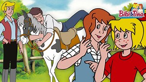 Bernhard Blocksberg und reiten 🏇? Na, ob das gut geht... Bibis Papi ist zu Besuch auf dem Martinshof und lernt dort auch Graf Falko kennen. Aus Respekt 👑 vor dem Grafen sagt er freudig der Fuchsjagd 🦊 zu. Doch dass diese auf Pferden stattfindet ist ihm nicht bewusst. Nun muss er wohl oder übel in den Sattel steigen. Doch das wird nicht die einzige Überraschnung 🎁 bleiben. #BibiUndTina #Kassettenkind #Nostalgie | Bibi & Tina