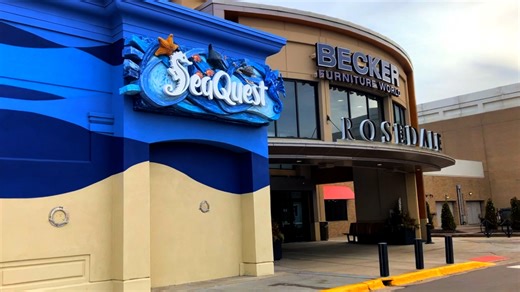 SeaQuest Roseville closes permanently following yearlong investigation