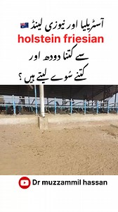 240K views · 6K reactions | #Friesien #veteranshelpingveterans #Book #Australia #buffalo #Friesian #Farm #smallfarmers #SmallFarmers | Dairy Farming with Dr-Muzzammil | Facebook