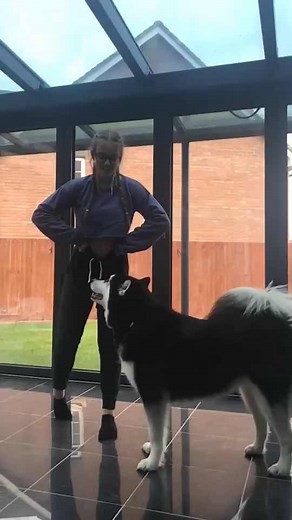 She's so cute 😍😭@snuggle.bum #petsofmusically #sSlowmotion #petgoals