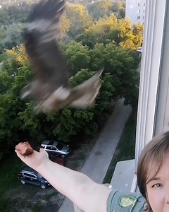 10K views · 182 reactions | That's one big bird! 礪 | Love This | Facebook