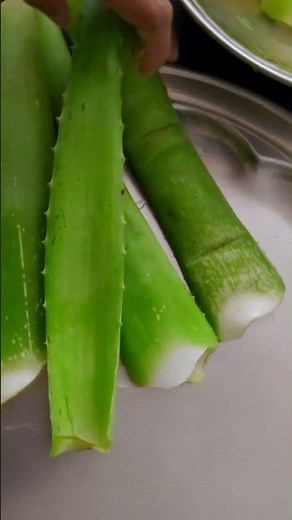 How to extract Aloe Vera gel at home| 100%pure Aloe Vera gel|Easy Method| Preserve Aloe Vera gel DIY