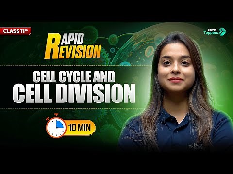 Cell Cycle and Cell Division | CBSE Class 11 Biology Rapid Revision | Full Chapter in 🔟 Mins