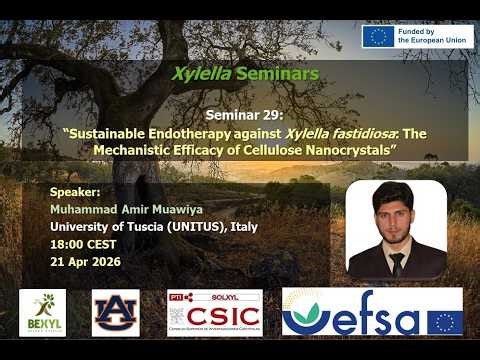 Xylella Seminar: Sustainable Endotherapy against Xf: The Mechanistic Efficacy of Cellulose NCs