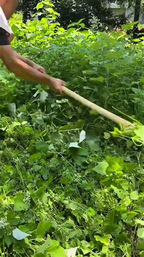 Installing a leaf trimming tool onto a wooden handle makes garden work easier and more comfortable