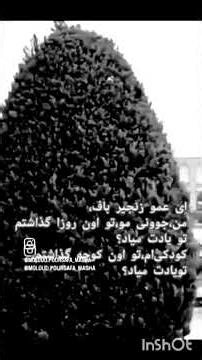 #مایکل#نامه_دارم#مولود_پورصفا#مولود_پورصفا_شاعر#moloud_poursafa #Michael