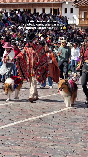 Así se vivió el pasacalle más tierno de Cusco: el desfile de mascotas. 🐶🐱🦙❤️ En los últimos años, esta actividad se ha convertido en una de las más esperadas de las Fiestas del Cusco. Decenas de mascotas desfilan junto a sus familias luciendo coloridos trajes andinos que representan la cultura y tradiciones de la región. Perros, gatos, cuyes y otros pequeños protagonistas se robaron las miradas y los aplausos del público, convirtiendo este evento en uno de los momentos más adorables y especia