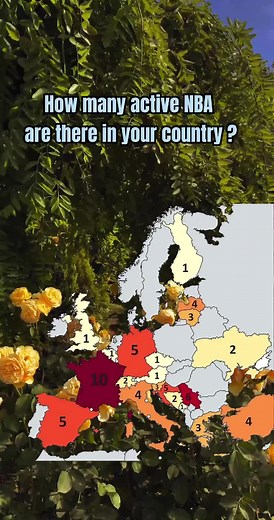 Basketball #NBA #maps #mapping #europemaps #uropa #nbaa #fyp #fypシ