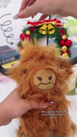 So fluffy #fluffycow #relationships #cowboy