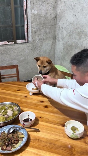 宝宝奶瓶晚宴奇遇记