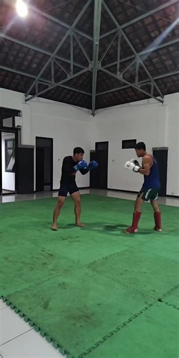 Sparing Tips with Bor: Live Highlights