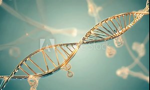 An animation of microRNAguided chromatin remodeling influencing gene expression. 4K Video