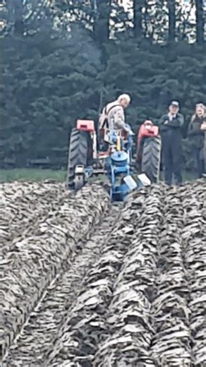 1967 Massey Ferguson 135 Multi Power 2.5 Litre 3-Cyl Diesel Tractor (46 HP) KVAC Hilton 2025