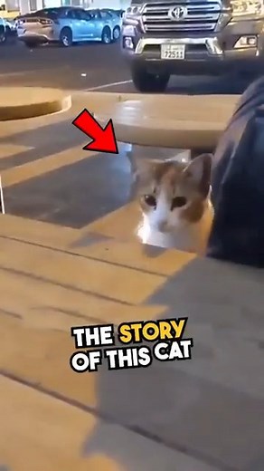 How to Make Sure Your Kids Always Do Their Homework #kids #reelsfb #reelsviral #homework | Fast Motion