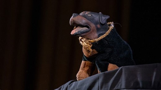 Robert Smigel Explains Who Triumph the Insult Comic Dog Won't Roast