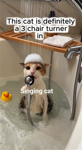 Other cat hates getting wet. This cat sings under the shower shorts# #cat