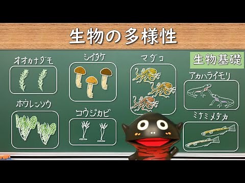 地球上に存在する生物種の数はどのくらい？【01生物基礎】新課程対応