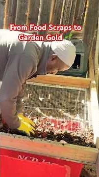 Harvesting DIY Backyard Compost | Simple Steps DIY