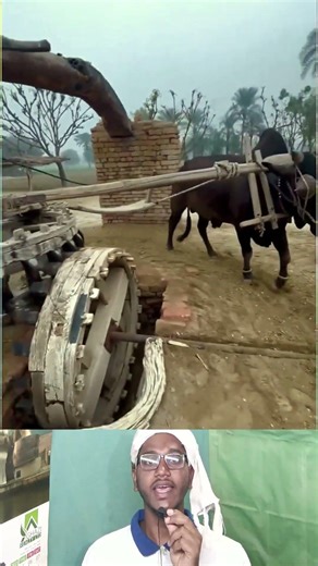 Amazing Old Method | পুরাতন পদ্ধতিতে কুয়া থেকে পানি তোলা হচ্ছে 😱🐄 #shorts #farming #traditional
