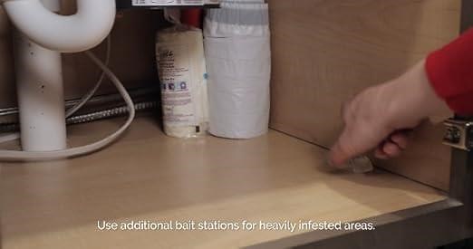 596fc35ff12e4d5e923ac3fa91001c19