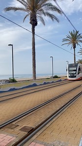 Qué bueno comenzar así el día ¿Verdad? Hemos venido en Tram hasta la playa de Muchavista, para dar un paseo antes de darnos un baño 😁❤️ ¡Qué maravilla! Un abrazo desde el paraíso 🥰 #ElCampello #CostaBlanca | El Campello Turismo