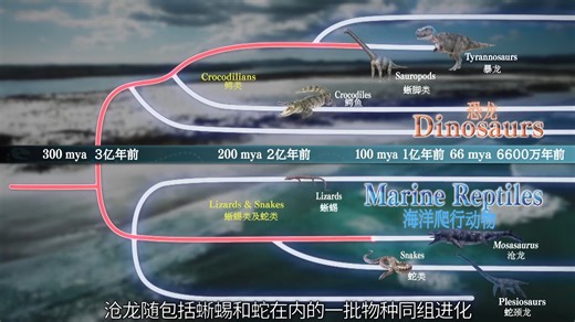 《恐龙超世界第1季》剪辑：沧龙与恐龙的演化之路