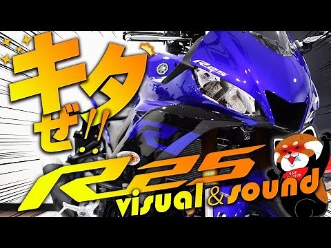 2019新型 YZF-R25のビジュアル＆サウンドチェック！byYSP横浜戸塚