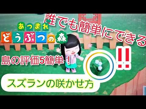 【あつ森】スズラン咲かせ方誰でも簡単にできる島評価5にする あつ森 あつまれどうぶつの森