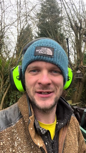 Unlock the Hidden Art in Your Tree with Chainsaw Carving