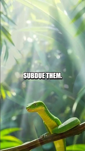 The Venomous Green Parrot Snake