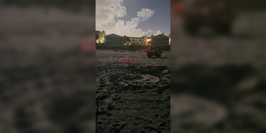 What you need to know as Florida's sea turtle nesting season kicks off