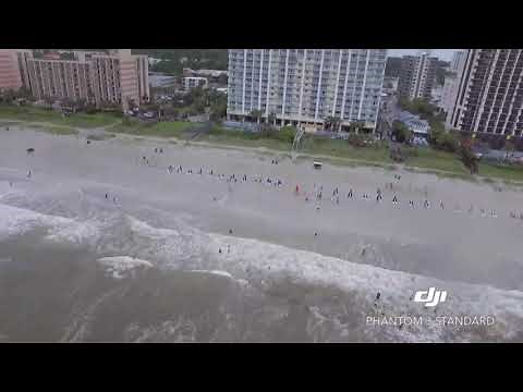 GREAT WHITE SHARK SITING IN MYRTLE BEACH! (CAUGHT ON DRONE)